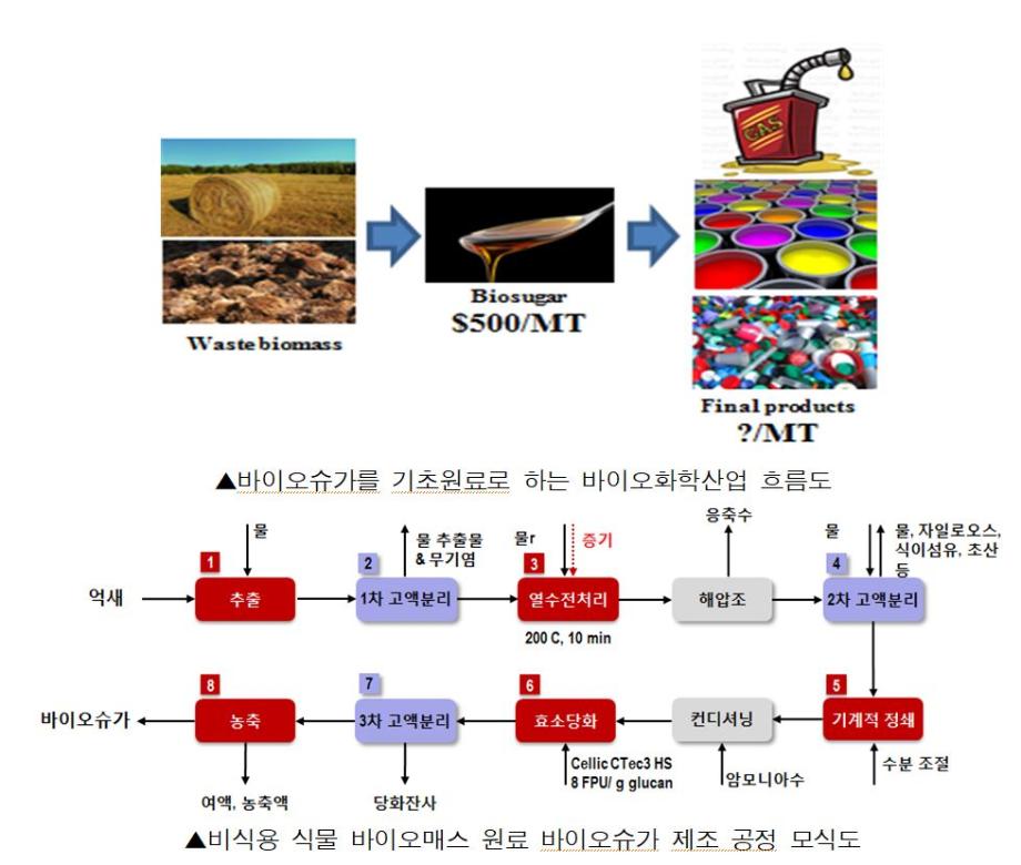 바이오화학산업의 쌀 '바이오 슈가' 제조기술 개발 이미지