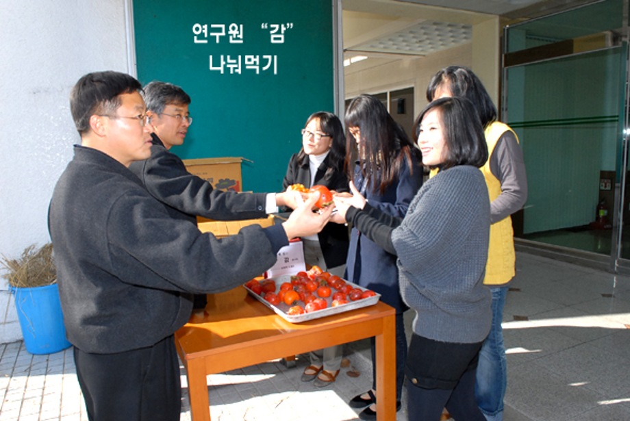 연구원 "감" 나누기 이미지